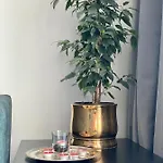 Apartament Z Widokiem Na Kazimierz/forum Przestrzenie *