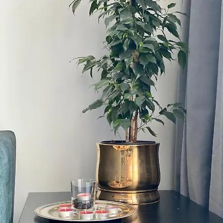 Apartament Z Widokiem Na Kazimierz/forum Przestrzenie *